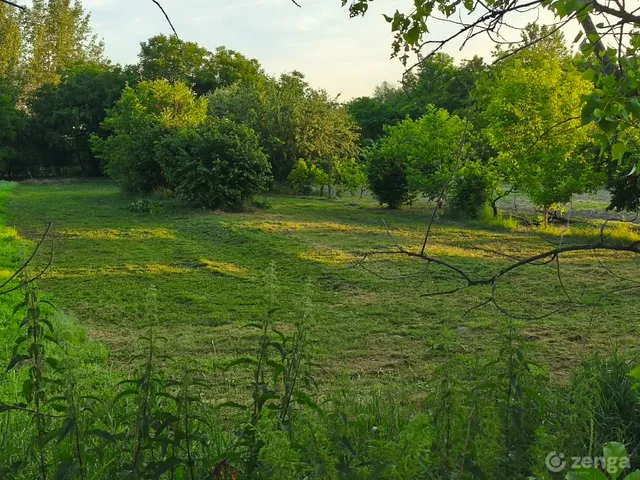 Eladó telek Kalocsa 1180 nm