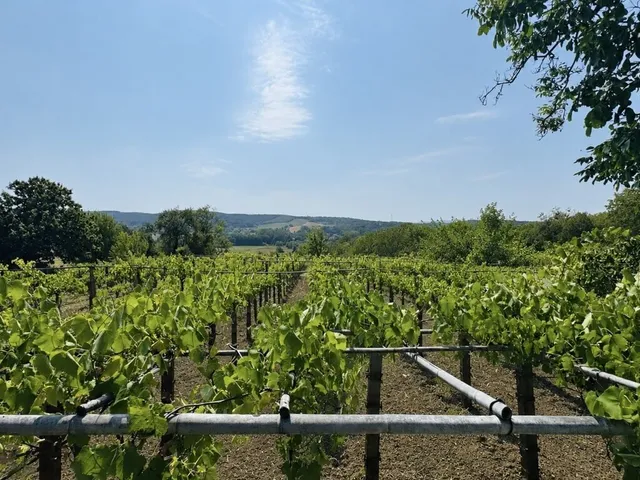 Eladó ház Vindornyaszőlős 40 nm