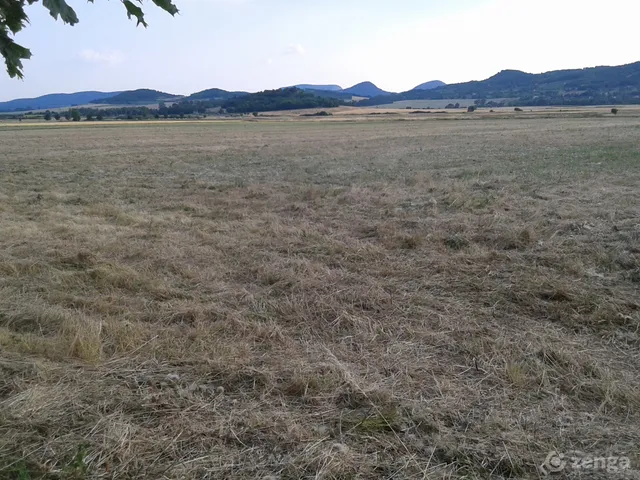 Eladó mezőgazdasági ingatlan Szentbékkálla 106000 nm
