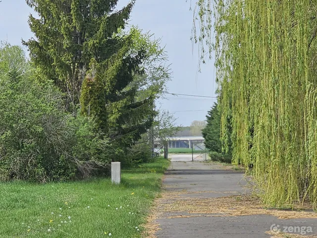Eladó mezőgazdasági ingatlan Nagykőrös 2100 nm