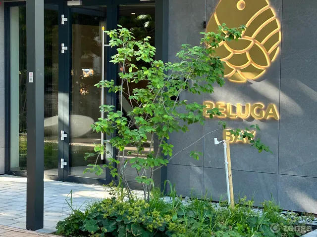 Eladó lakás Budapest XIII. kerület, Vizafogó, 1/B 44 nm