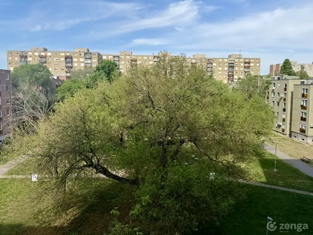 Eladó lakás Budapest IV. kerület, Újpest 71 nm