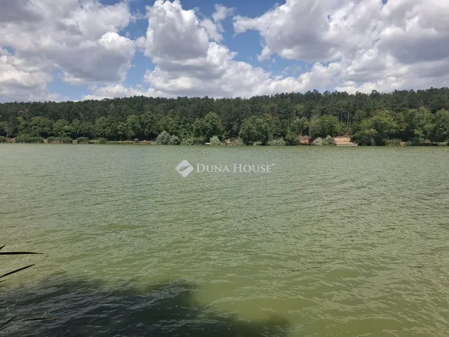 Eladó nyaraló Gomba, Ponty utca 55 nm
