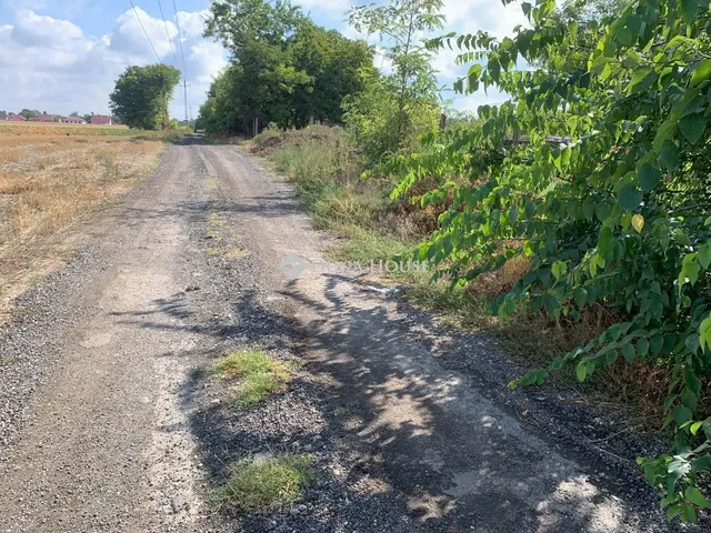 Eladó telek Albertirsa 1861 nm