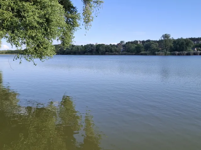 Eladó telek Gomba, Ponty utca 79 146 nm
