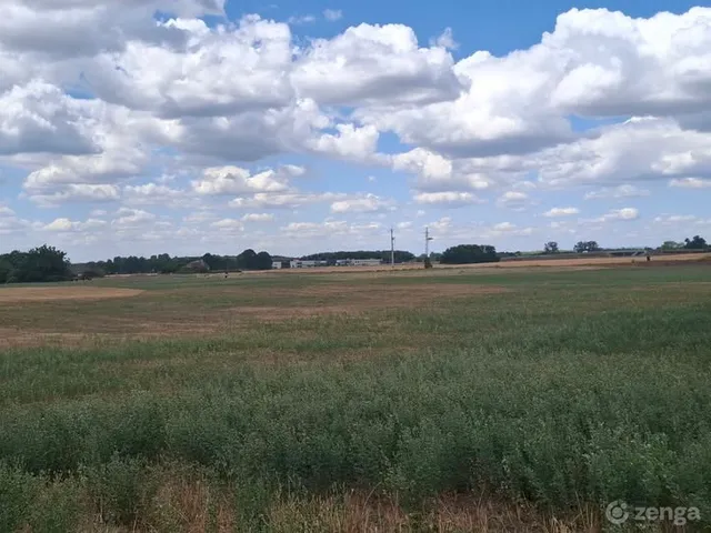 Eladó mezőgazdasági ingatlan Monor 19466 nm