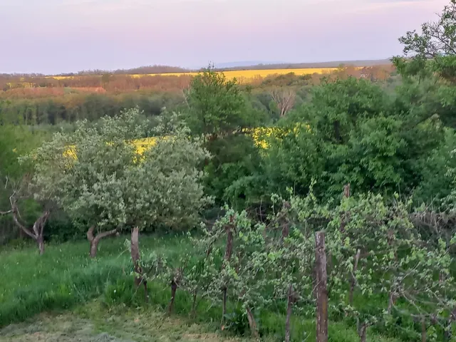 Eladó telek Csehimindszent, 1 4670 nm