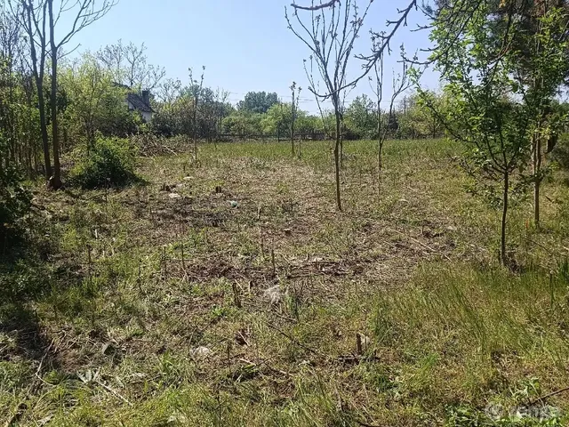 Eladó telek Baja, Kiscsávoly 719 nm