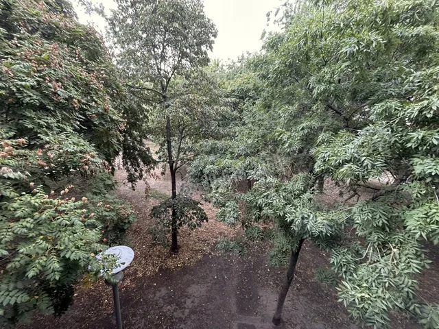 Eladó lakás Budapest XX. kerület, Lajtha László utca 58 nm