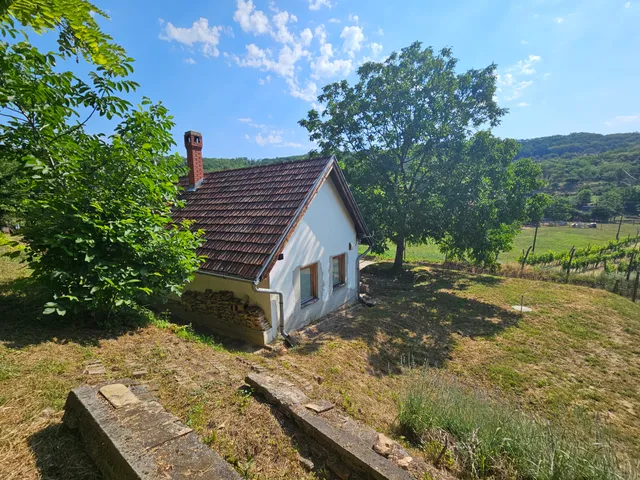 Eladó mezőgazdasági ingatlan Szekszárd, Szőlőhegy, Virág völgy 94 nm