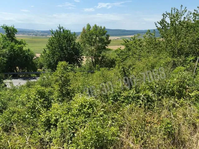 Eladó telek Héreg, Bikarétidűlő 986 nm
