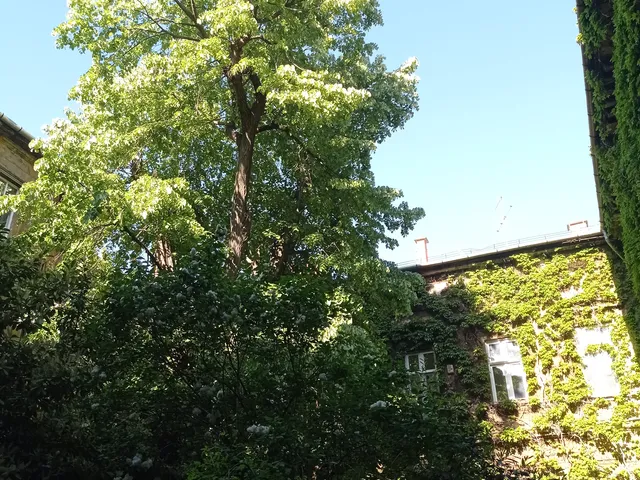 Eladó lakás Budapest VIII. kerület, Palotanegyed 57 nm