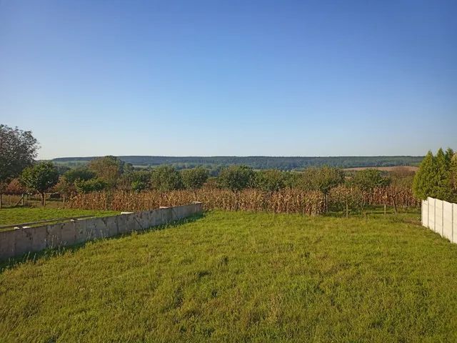 Eladó ház Tarjánpuszta 96 nm