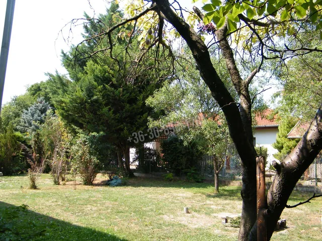 Eladó ház Érd, Tusculanum 685 nm