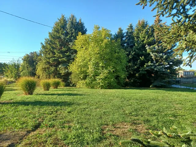 Eladó telek Abda 1668 nm