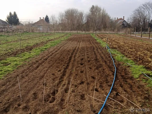 Eladó telek Hajdúhadház, Virág utca 42 4066 nm
