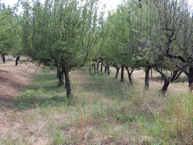 Eladó telek Kőszeg 1626 nm