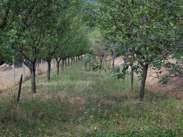 Eladó telek Kőszeg 1626 nm