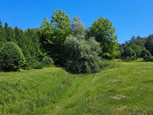 Eladó telek Nemesmedves 23910 nm