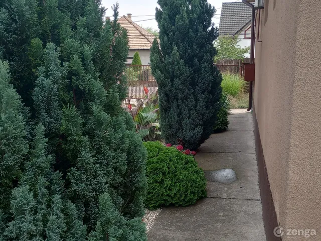 Eladó ház Vecsés, Halmitelep, Besztercei utca 63 159 nm