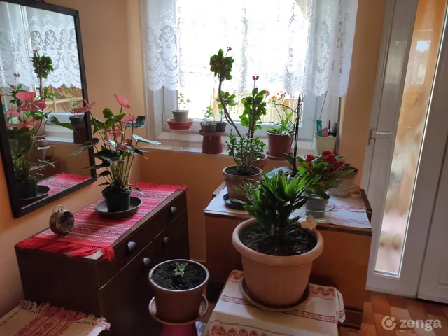 Eladó ház Tiszaföldvár, Darvas út 3. 100 nm