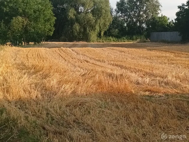 Eladó telek Átány 2887 nm