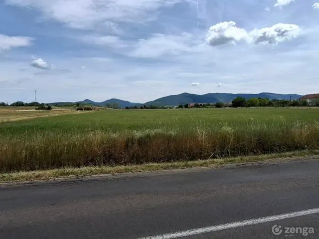Eladó telek Pásztó 3560 nm