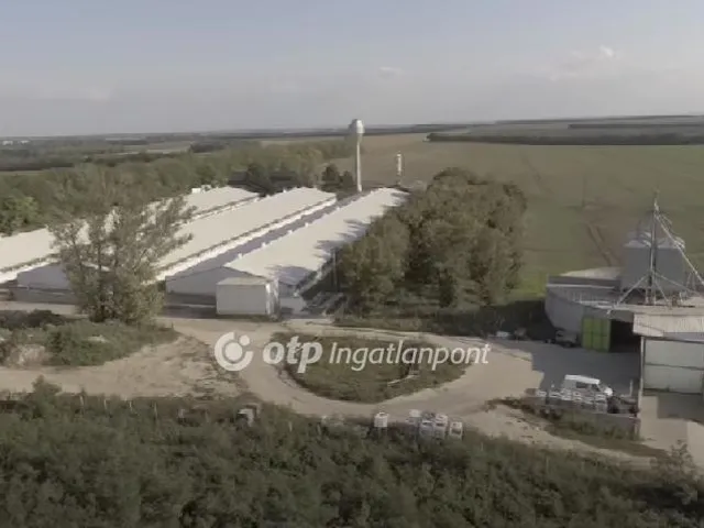 Eladó mezőgazdasági ingatlan Nagylók 24581 nm