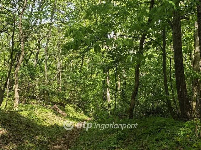 Eladó mezőgazdasági ingatlan Kistótfalu 692238 nm