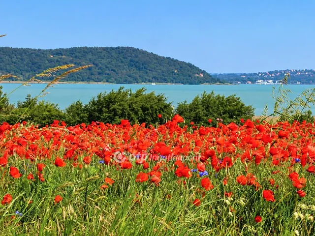 Eladó telek Balatonudvari 1501 nm