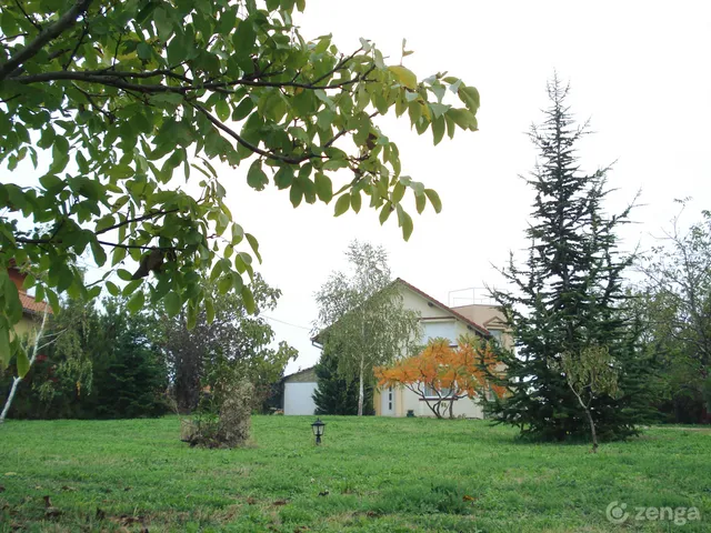Eladó ház Pécs, Donátus 200 nm