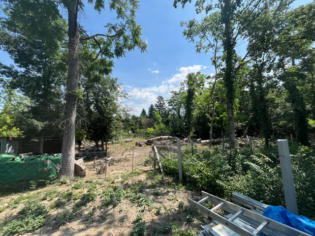 Eladó telek Ráckeve, Kerekzátony-sziget 360 nm