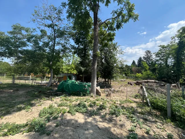 Eladó telek Ráckeve, Kerekzátony-sziget 360 nm