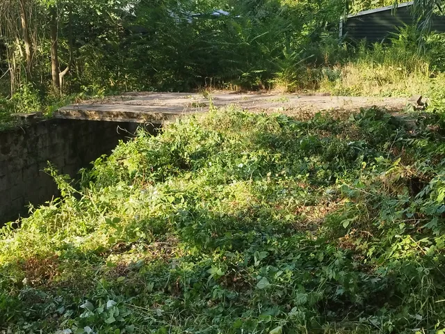 Eladó telek Ráckeve, Somlyó-sziget 444 nm