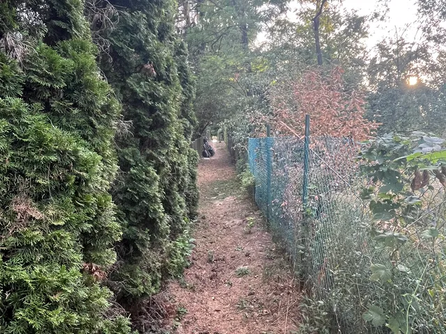 Eladó nyaraló Ráckeve, Kerekzátony-sziget 50 nm
