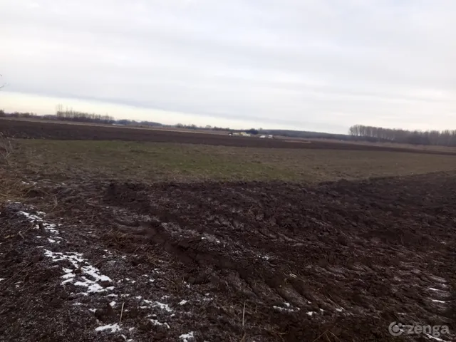 Eladó mezőgazdasági ingatlan Üllő, Hosszúberek 3915 nm