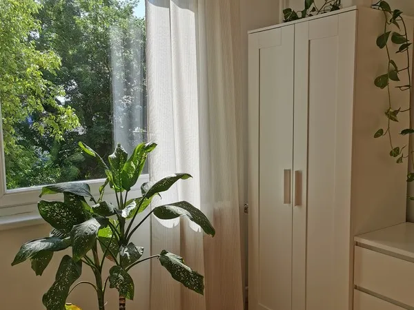 Kiadó lakás Debrecen, Belváros 70 nm