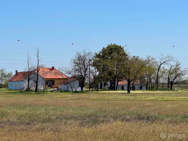 Eladó mezőgazdasági ingatlan Lajosmizse 125000 nm