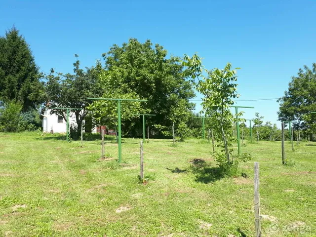 Eladó mezőgazdasági ingatlan Nagykanizsa, Bagola 25 nm