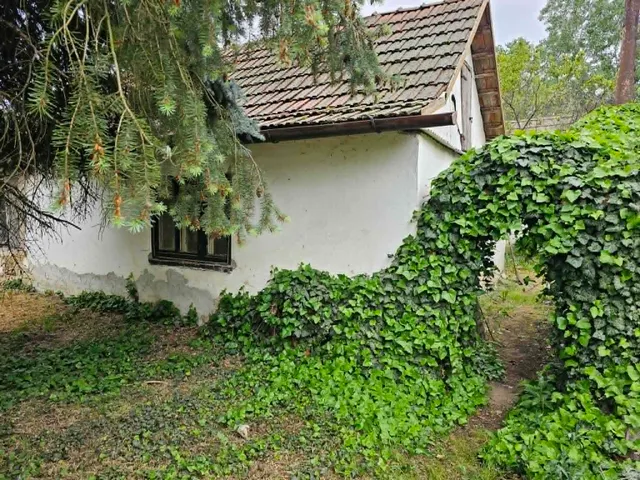 Eladó ház Szolnok, Üdülőtelep 80 nm