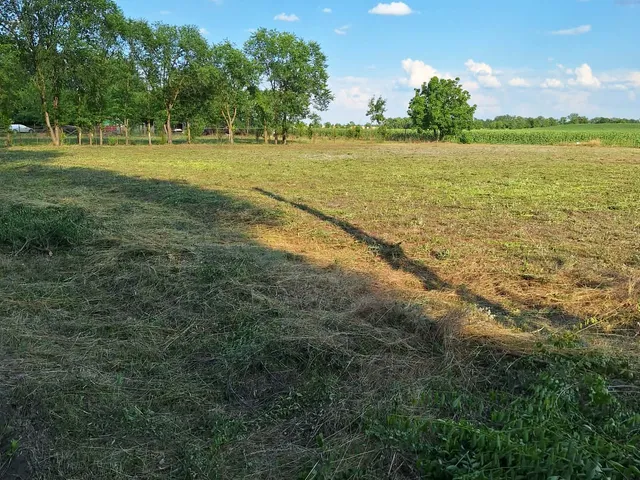 Eladó telek Szolnok, Tenyősziget, Nádas utca 8000 nm