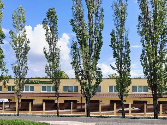 Kiadó kereskedelmi és ipari ingatlan Szolnok, Alcsisziget, Keszeg utca 27 nm
