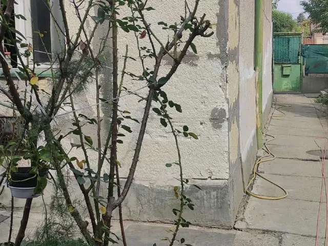 Eladó ház Szolnok, Alcsi városrész, Bimbó út 90 nm