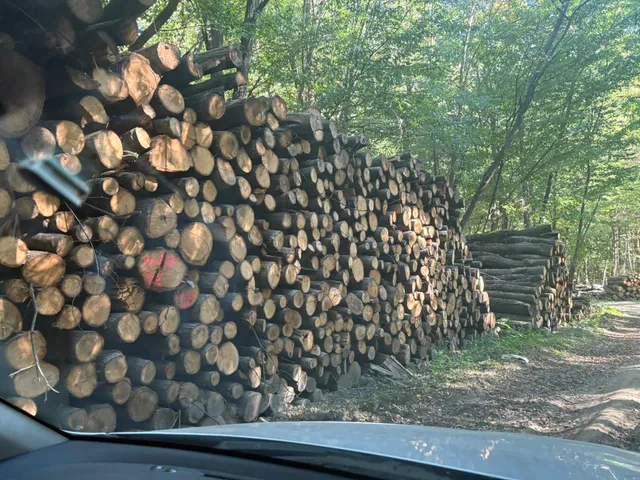 Eladó mezőgazdasági ingatlan Inke 731580 nm