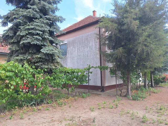 Eladó ház Baks, Aradi út 195 nm