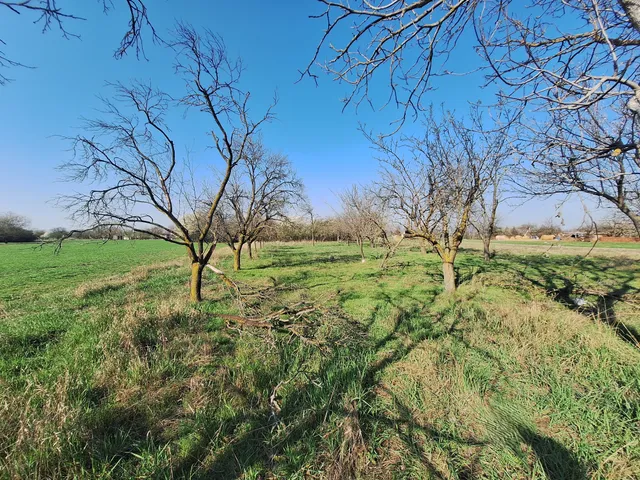Eladó mezőgazdasági ingatlan Hódmezővásárhely, Papere 3016 nm