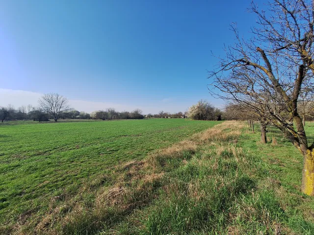 Eladó mezőgazdasági ingatlan Hódmezővásárhely, Papere, Borz utca 3016 nm