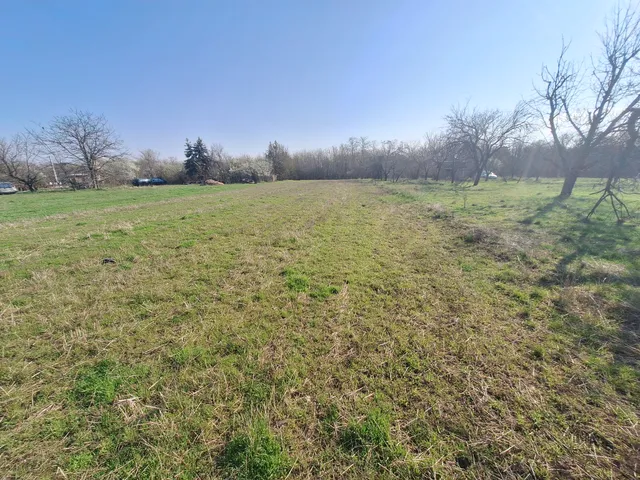 Eladó mezőgazdasági ingatlan Hódmezővásárhely, Papere, Borz utca 3016 nm