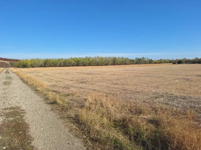 Eladó mezőgazdasági ingatlan Hódmezővásárhely, Papere 13800 nm