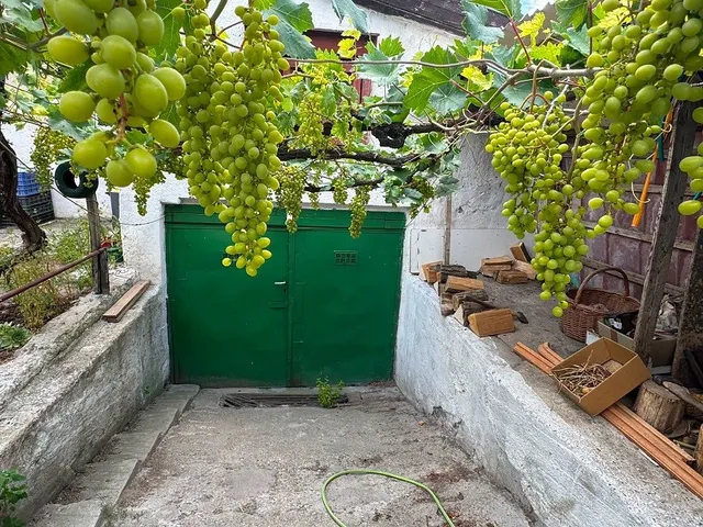 Eladó ház Aba, Belsőbáránd 90 nm